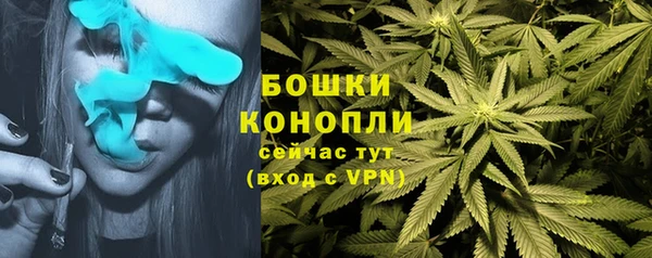 apvp Вуктыл