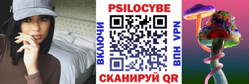 где можно купить наркотик  Поронайск  Галлюциногенные грибы Psilocybe 